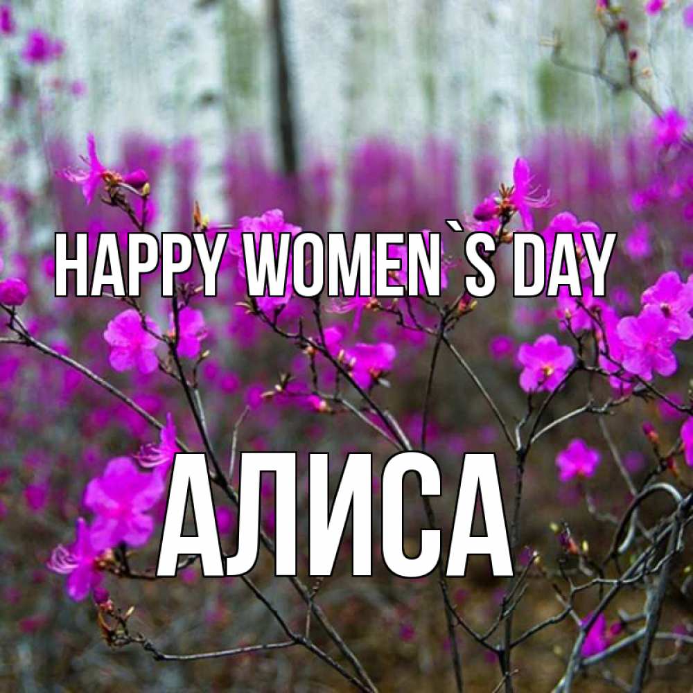 Greetings card с именем, Алиса happy women`s day дикие цветы Greetings with text for free download 